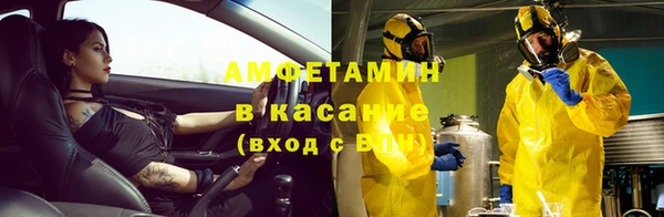 дурь Кедровый