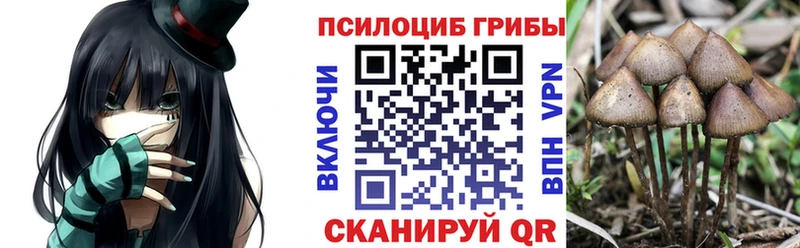 продажа наркотиков Малгобек omg зеркало Псилоцибиновые грибы мухоморы