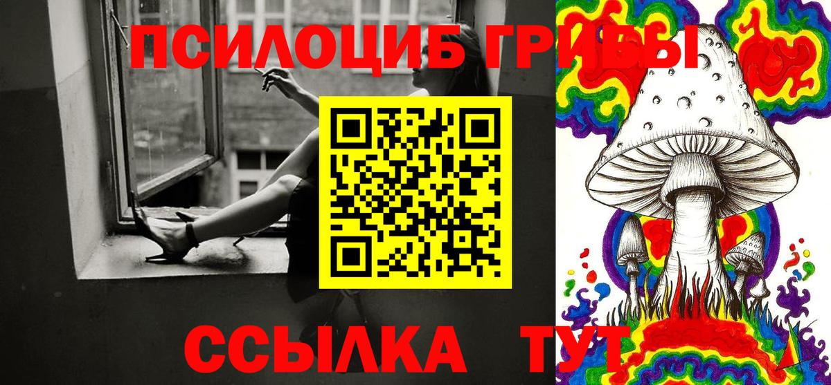 Псилоцибиновые грибы Psilocybe Малгобек
