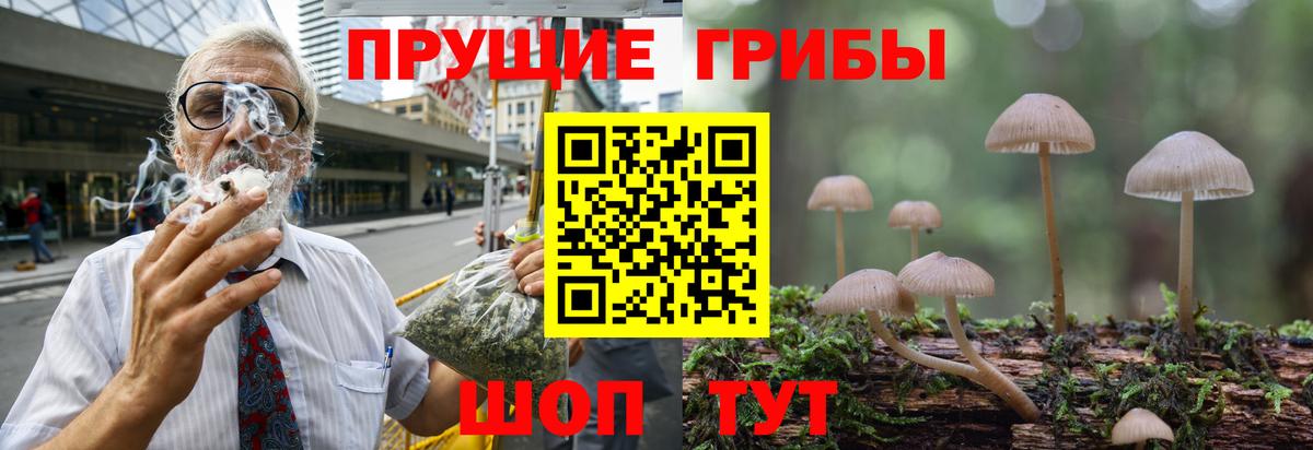 цены   Галлюциногенные грибы мухоморы  Малгобек  Вход с VPN  Галлюциногенные грибы прущие грибы 